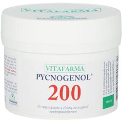 3253